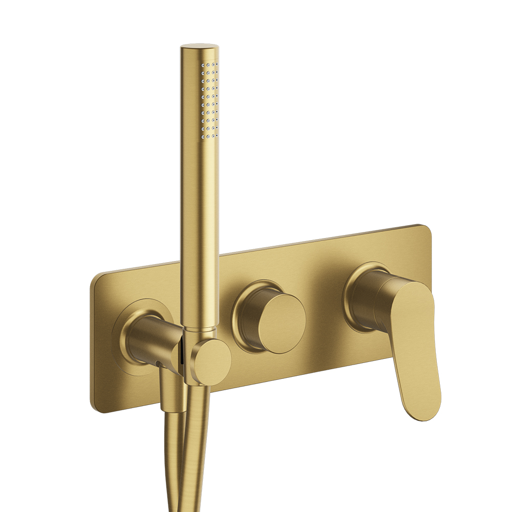 FACADE EXTERNE DOUCHE MURALE 2 SORTIES BOTTE SS MECANISME OR BROSSE