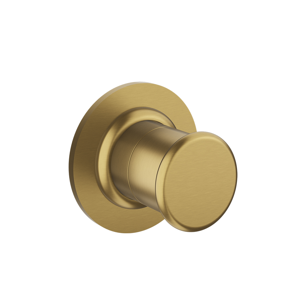 INVERSEUR  ENCASTRE COMPLET 2 SORTIES OR BROSSE 