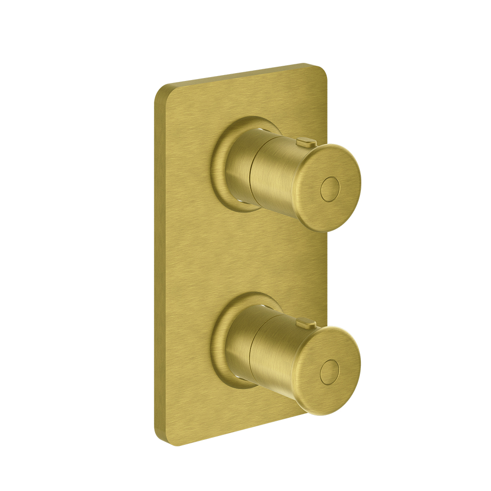 FACADE EXTERNE FARO LAITON THERMOSTATIQUE 2 SORTIES OR BROSSE